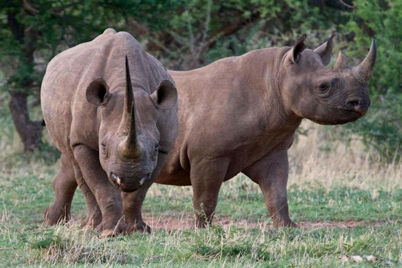 Pilanesberg Private Lodge المظهر الخارجي الصورة